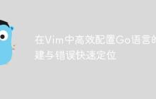 在Vim中高效配置Go语言的构建与错误快速定位