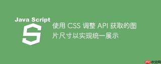 使用 CSS 调整 API 获取的图片尺寸以实现统一展示