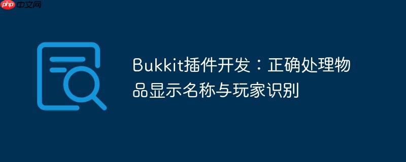 Bukkit插件开发：正确处理物品显示名称与玩家识别
