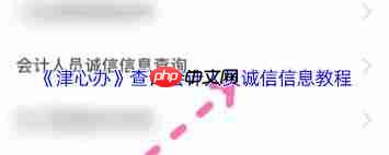 津心办如何查询会计人员诚信信息