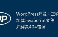 WordPress开发：正确加载JavaScript文件并解决404错误