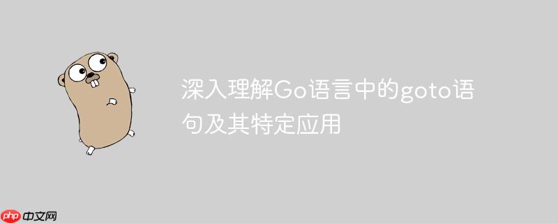 深入理解go语言中的goto语句及其特定应用