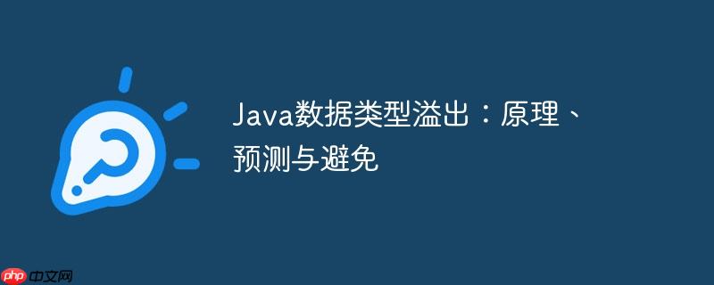 Java数据类型溢出：原理、预测与避免