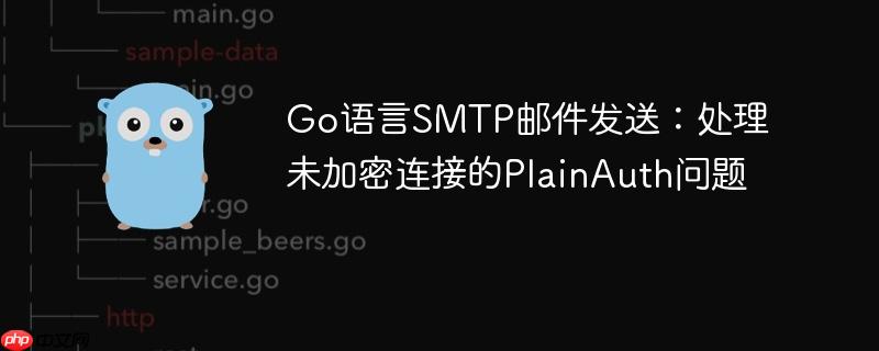 Go语言SMTP邮件发送:处理未加密连接的PlainAuth问题