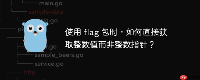 使用 flag 包时，如何直接获取整数值而非整数指针？