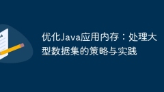 Optimizing Java application memory: Strategies and practices for handling large data sets
