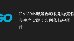 GO 웹 서버의 장기 안정성 및 생산 실무 : 전통적인 미들웨어에 작별 인사