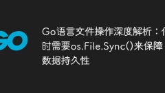 Go Language File ?? ?? ?? : os.file.sync ()? ??? ???? ???? ?? ??????