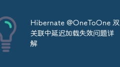 Hibernate @OneToOne Detailed explanation of the problem of delayed load failure in two-way association