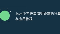 Tutorial über die Berechnung und Anwendung der Streicher -Haiming -Distanz in Java