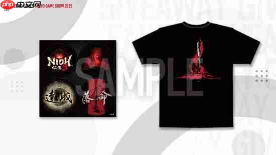 《仁王3》TGS试玩：BOSS战和探索二选一 还送T恤