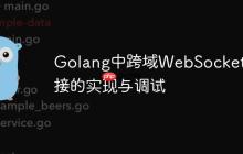 Golang中跨域WebSocket连接的实现与调试