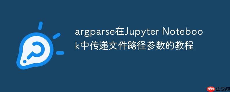 argparse在Jupyter Notebook中传递文件路径参数的教程
