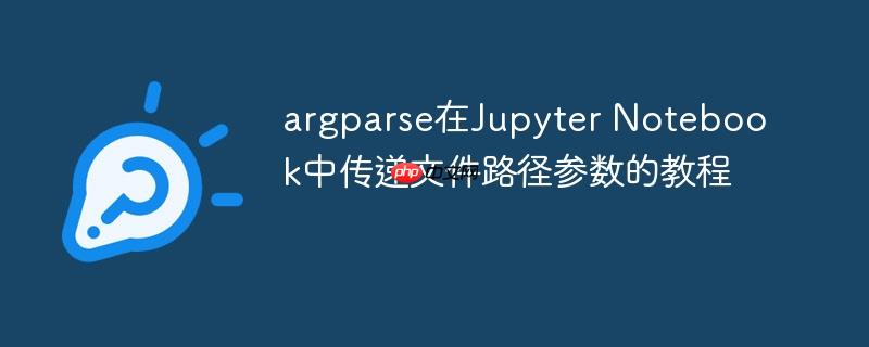 argparse在Jupyter Notebook中传递文件路径参数的教程