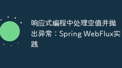 Umgang mit Nullwerten und Ausnahmen in reaktionsschneller Programmierung: Spring WebFlux -Praxis