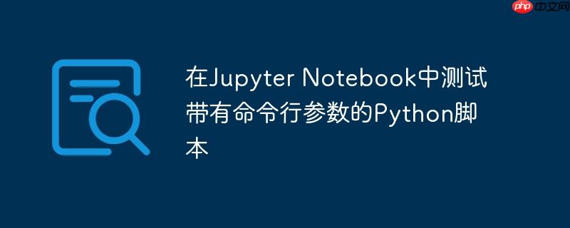 在Jupyter Notebook中测试带有命令行参数的Python脚本