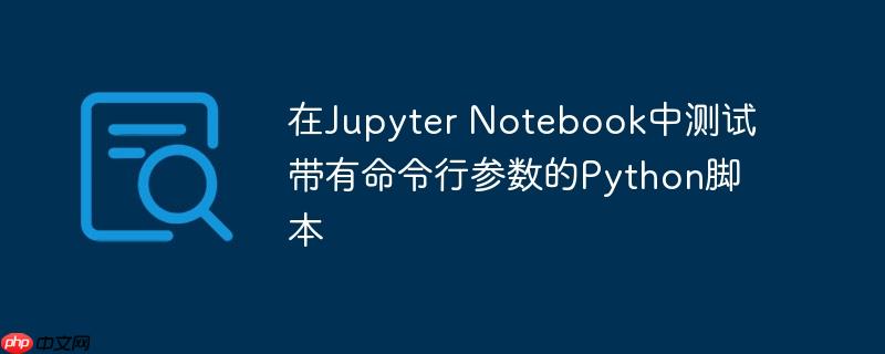 在Jupyter Notebook中测试带有命令行参数的Python脚本
