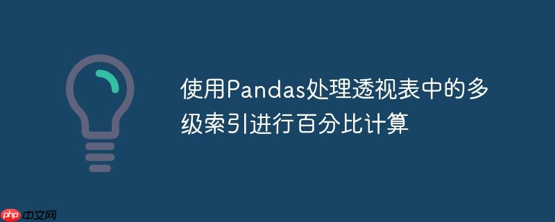 使用Pandas处理透视表中的多级索引进行百分比计算
