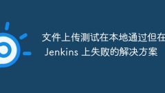 文件上傳測(cè)試在本地通過(guò)但在 Jenkins 上失敗的解決方案