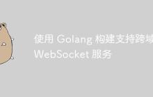 使用 Golang 构建支持跨域 WebSocket 服务