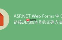 ASP.NET Web Forms 中 CSS 链接动态版本号的正确方法