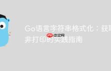 Go语言字符串格式化:获取而非打印的实践指南