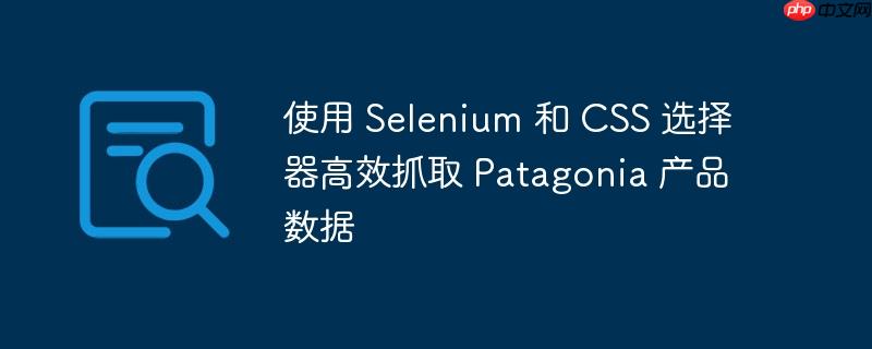 使用 Selenium 和 CSS 选择器高效抓取 Patagonia 产品数据