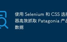 使用 Selenium 和 CSS 选择器高效抓取 Patagonia 产品数据