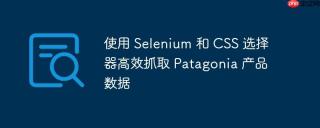 使用 Selenium 和 CSS 选择器高效抓取 Patagonia 产品数据