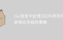 Go语言中处理JSON序列化与非导出字段的策略