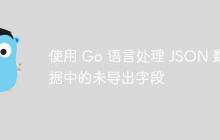 使用 Go 语言处理 JSON 数据中的未导出字段