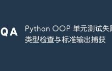 Python OOP 单元测试失败:类型检查与标准输出捕获