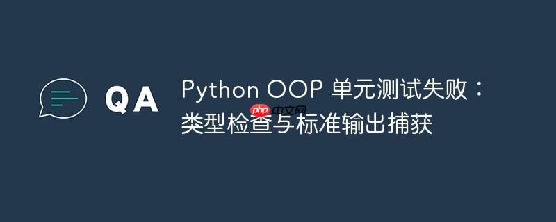 python oop 单元测试失败：类型检查与标准输出捕获