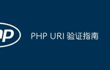 PHP URI 验证指南
