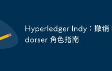 Hyperledger Indy:撤销 Endorser 角色指南