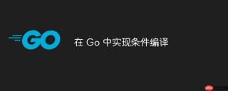 在 Go 中实现条件编译