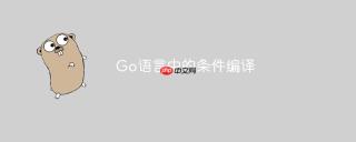 Go语言中的条件编译
