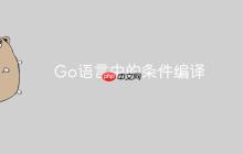 Go语言中的条件编译