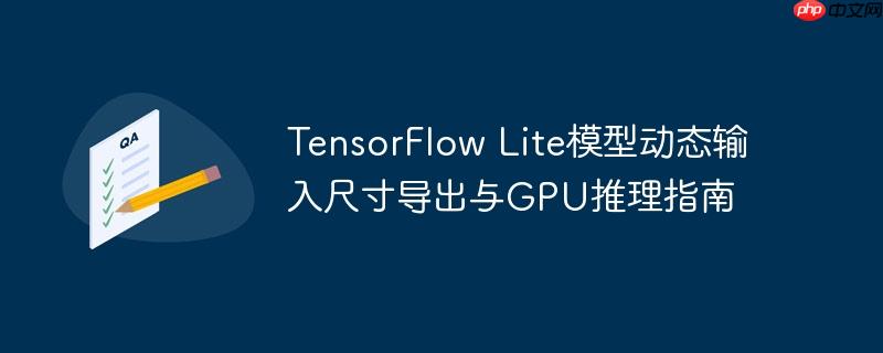 TensorFlow Lite模型动态输入尺寸导出与GPU推理指南