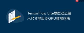 TensorFlow Lite模型动态输入尺寸导出与GPU推理指南