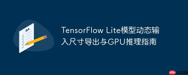 TensorFlow Lite模型动态输入尺寸导出与GPU推理指南