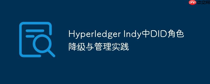 Hyperledger Indy中DID角色降级与管理实践