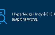 Hyperledger Indy中DID角色降级与管理实践