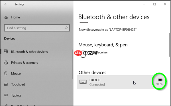 Win10系统检查蓝牙电池电量的技巧