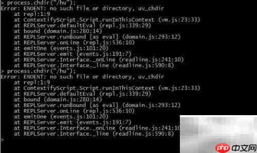 Node.js进程信息查看指南
