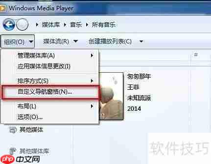 Windows Media Player自定义导航窗格