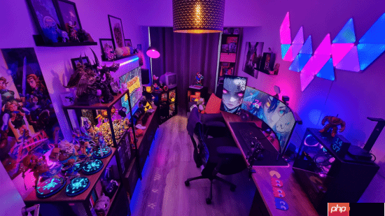 国外玩家分享32:9带鱼屏爽玩《丝之歌》:视野开挂了