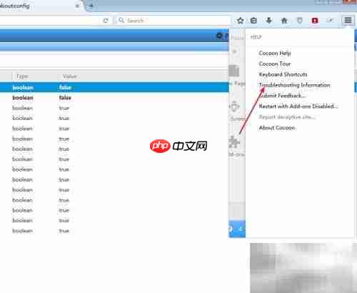 cocoon浏览器连接不安全提示
