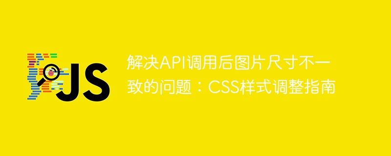 解決API調用後圖片尺寸不一致的問題:CSS樣式調整指南