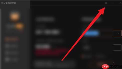 向日葵远程控制怎么设置自动检测网络
